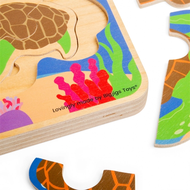 Wooden Turtle Life Cycle Puzzle