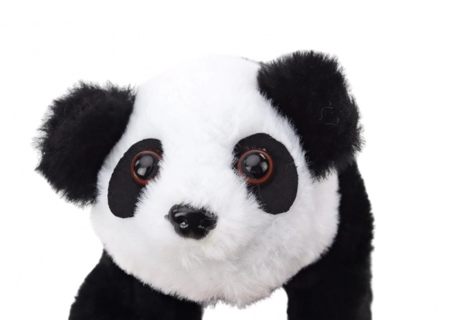 Interactive Plush Panda with Transporter