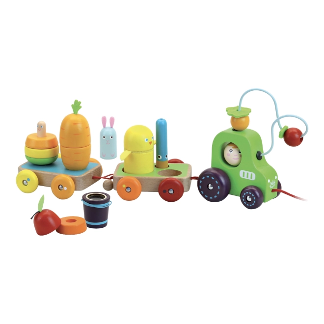 Motor skills and imagination