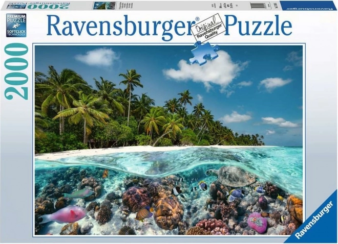 Diving in the Maldives Puzzle