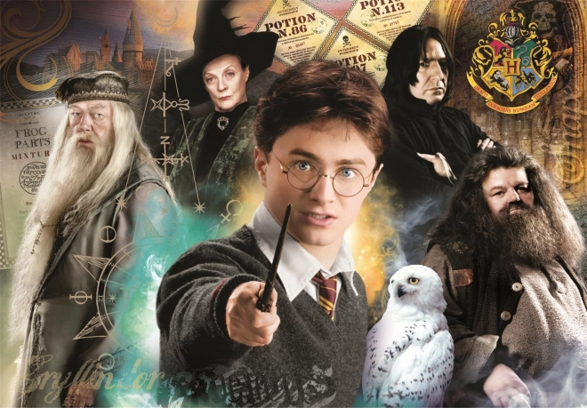 Puzzel 1000 stukjes Compact Harry Potter