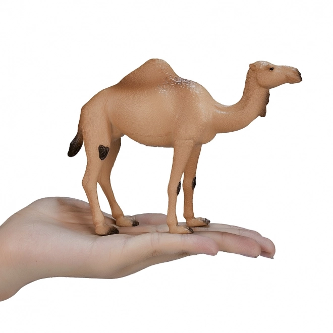 Realistic Dromedary Camel Figure