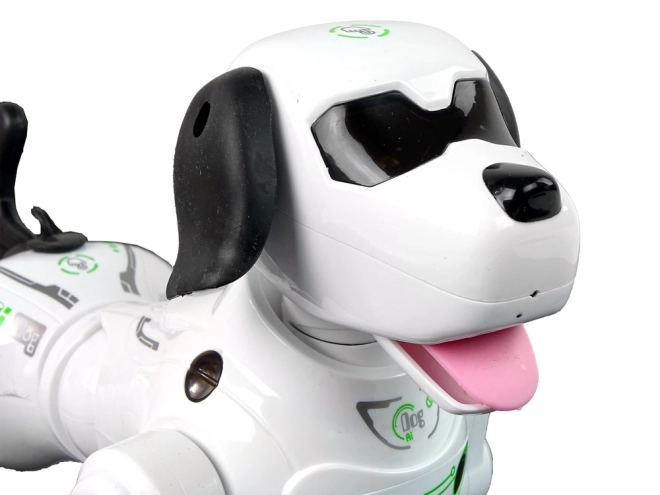 Cane Robot Interattivo Telecomandato
