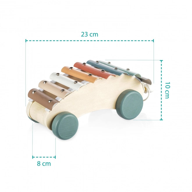 Wooden Pull-Along Xylophone for Kids