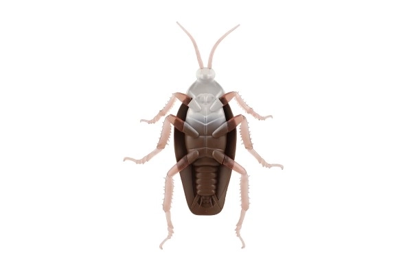 Antistress Cockroach Toy with Plastic/Silicone Body