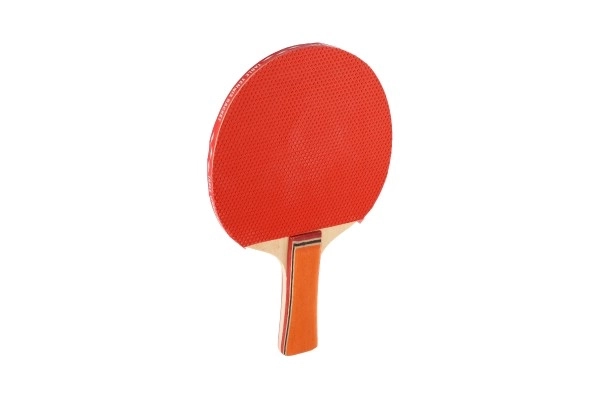 Table Tennis Paddle