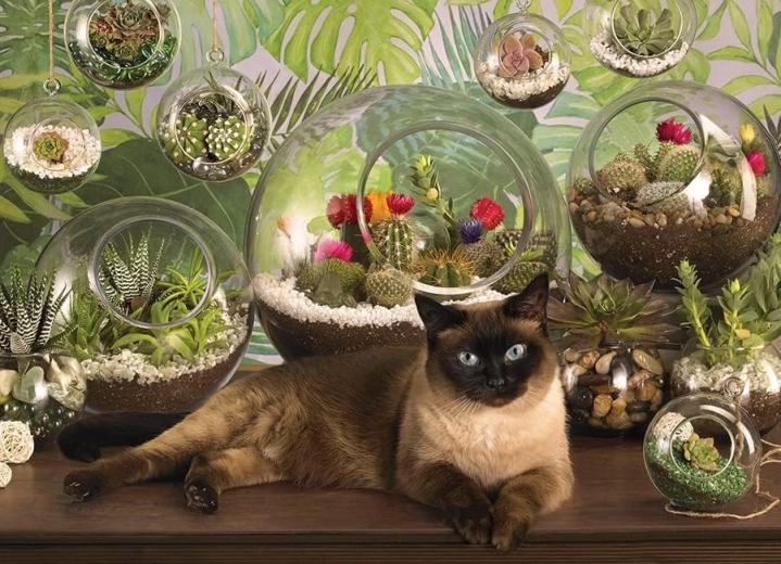 Original motif with a Siamese cat and terrariums
