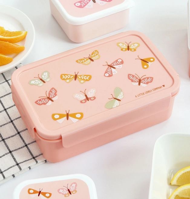 A Lovely Butterfly Lunch Box