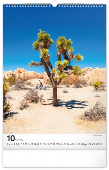 Wall Calendar Trees 2025