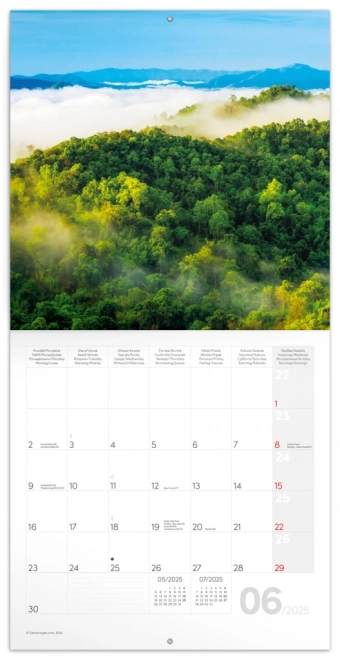 Rainforest Scenic Calendar 2025