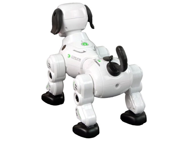 Cane Robot Interattivo Telecomandato