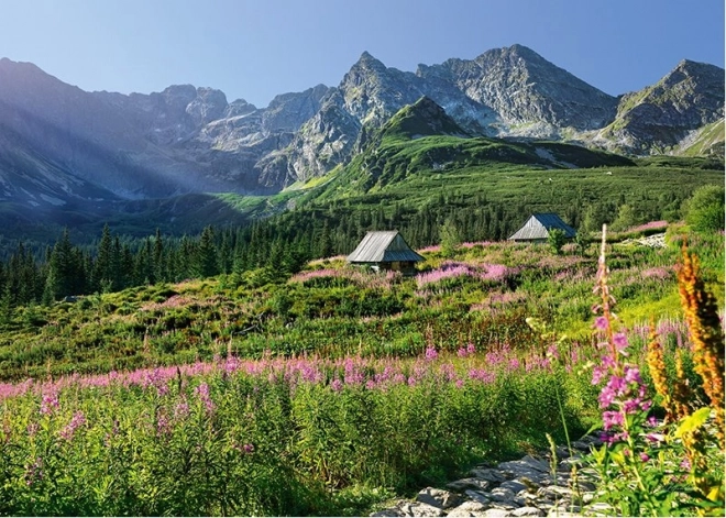 Cherry Pazzi Puzzle Valley of Vysoké Tatry 1000 Pieces