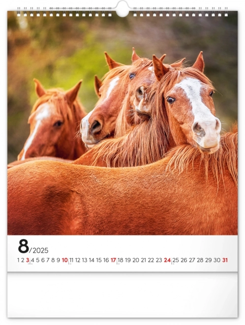 Wall Calendar Horses 2025