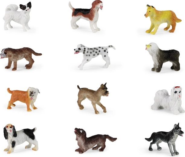 12 razze diverse in un unico set