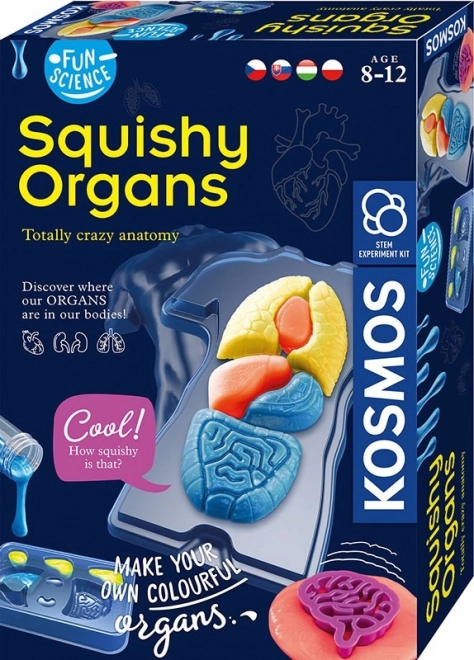 Fun Science Squishy Organs Educational Set