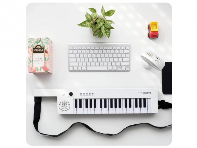 Electronic Keyboard Organs with Handle Musical Toy