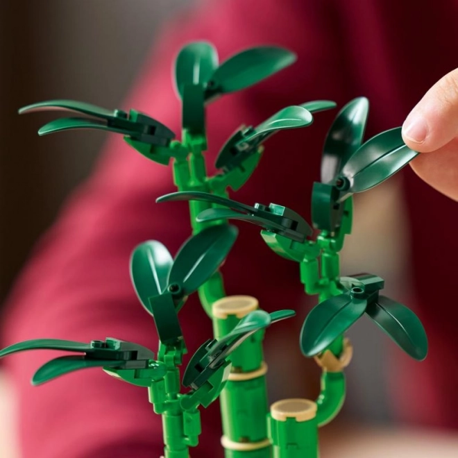 Decorative LEGO Botanicals Dracaena Sanderiana Plant