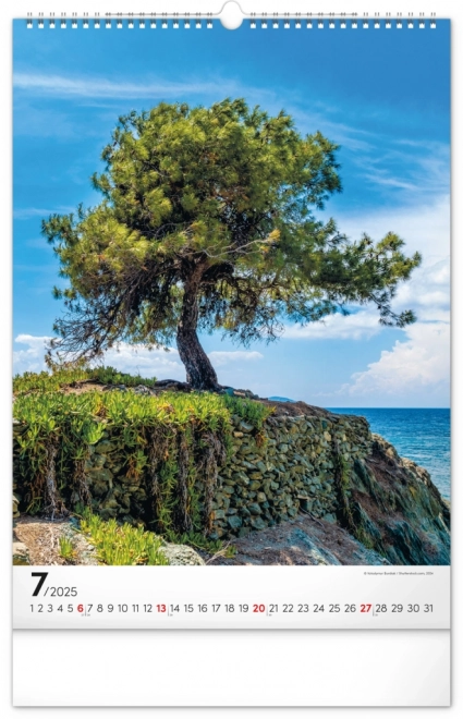 Wall Calendar Trees 2025