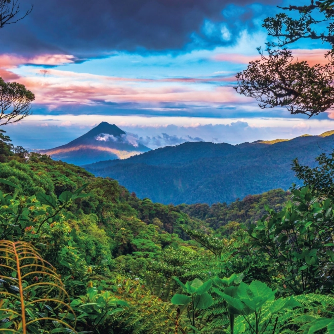 Rainforest Scenic Calendar 2025