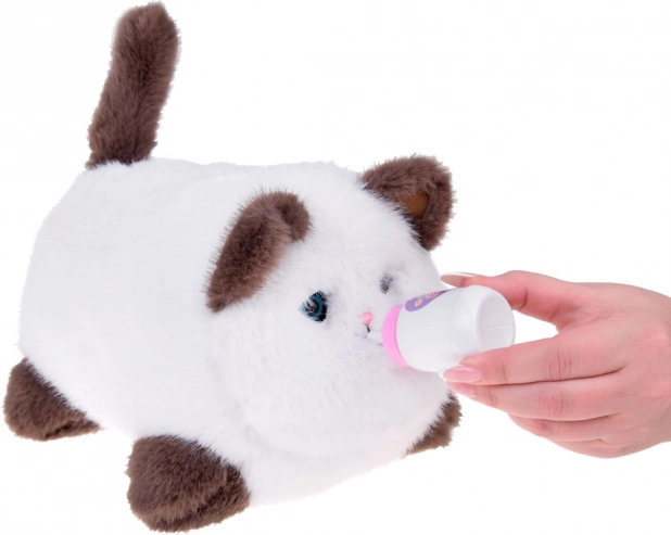 Interactive Kitty Puszek - meows, purrs, and moves its eyes