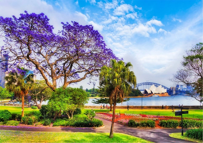 Wooden Puzzle Spring in Sydney 2-in-1