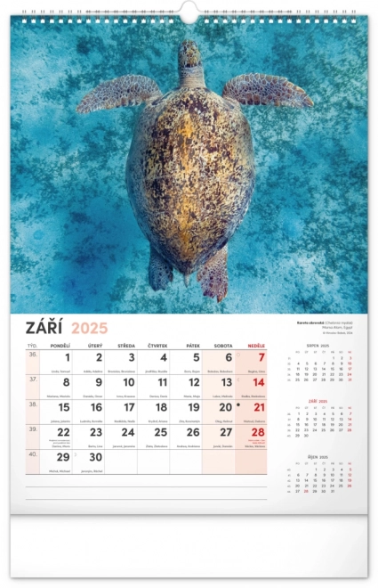 Notique Wall Calendar Most Interesting Animals 2025