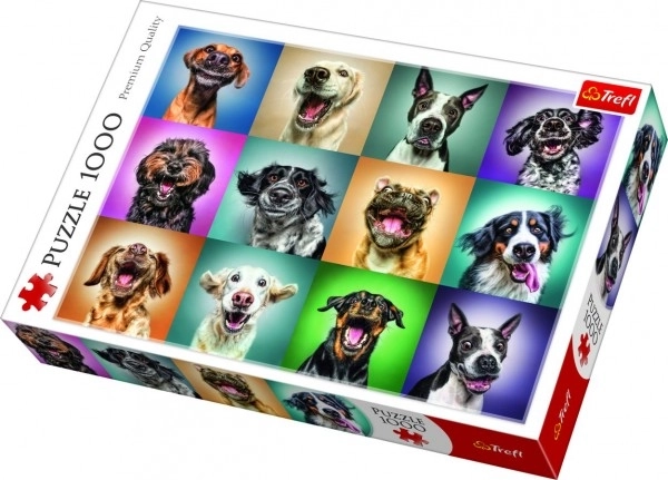 Funny Dog Portraits Jigsaw Puzzle 1000 Pieces