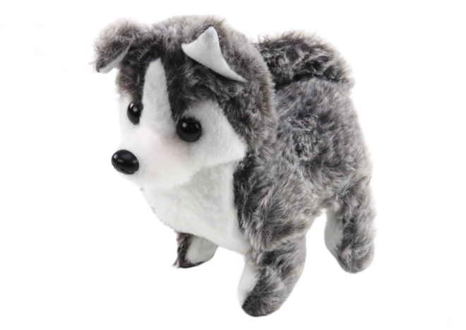 Interactive Husky Dog Toy with Sound and Movements