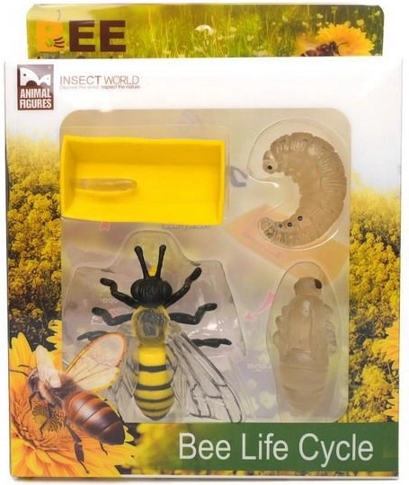 Ensemble 4 pièces figurine cycle de développement de l'abeille