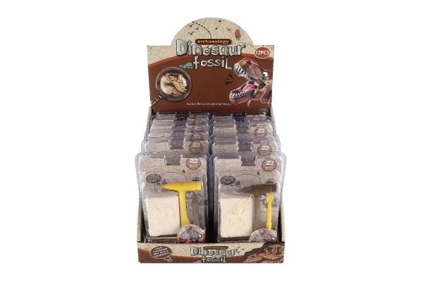 Dinosaur Fossil Archaeology Kit