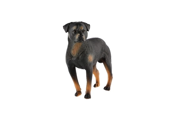 Rottweiler Toy Dog