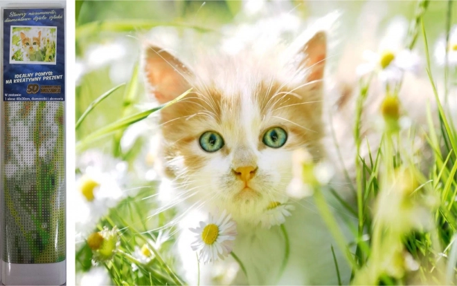 Diamond Painting Kit Kitten Among Daisies