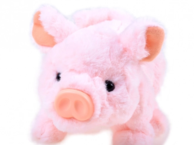 Interactive Plush Pig Friend