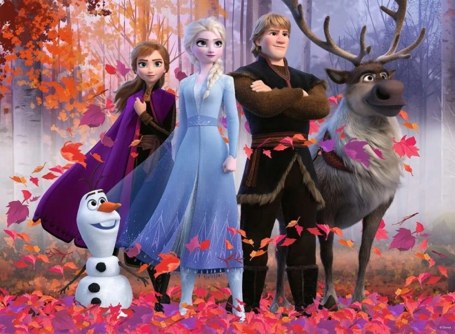 Disney Frozen 2 Puzzle 100 Pieces