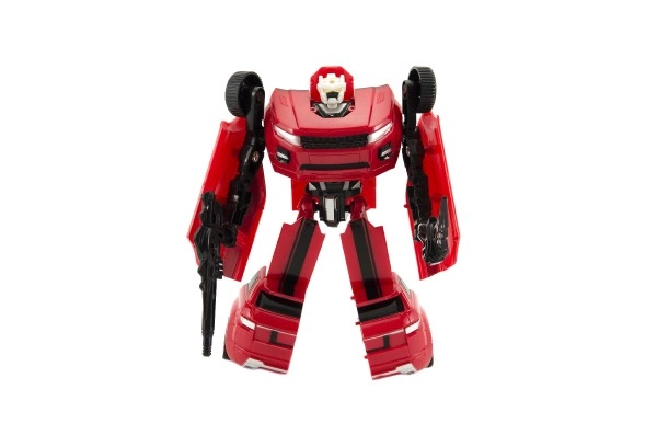 Multifunctional toy