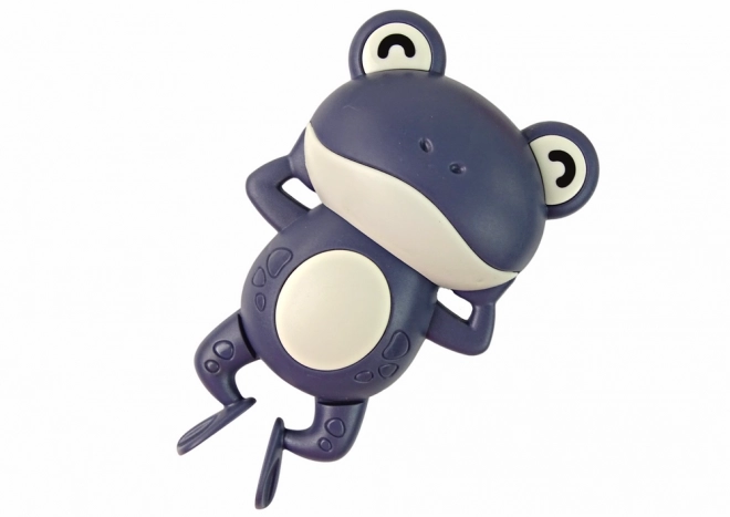 Wind-Up Floating Frog Toy