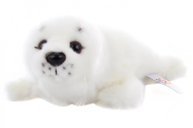 Foca di peluche 21 cm