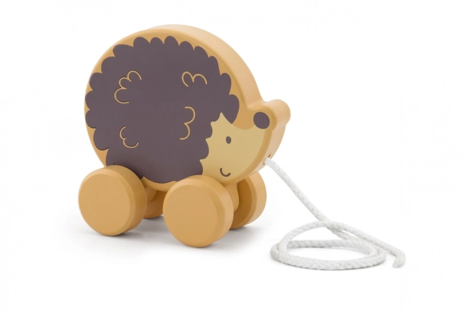 Wooden Pull Along Hedgehog Toy