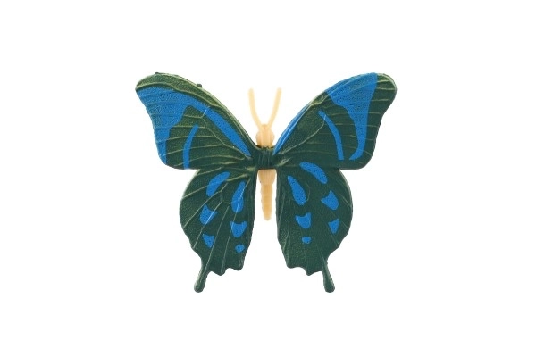 Colorful Butterfly Set for Kids