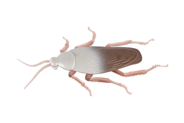 Antistress Cockroach Toy with Plastic/Silicone Body