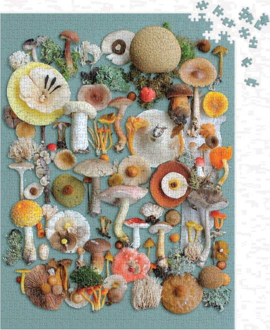 GALISON Puzzle Harvest 1000 Pieces