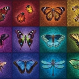 Beautiful Winged Insects 2D Puzzle 1000 Pieces