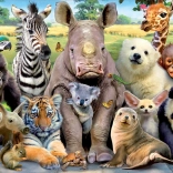 Educa Puzzle Class Photo 300 Pieces