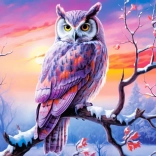 500-piece puzzle – Owl Perfect Evening