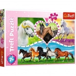 Puzzle 200 Pieces Beautiful Horses TREFL