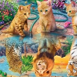 Norimpex pittura diamantata Sogni di gatti 30x40 cm