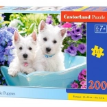 Puzzle 200 pieces – Westie puppies
