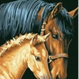 Diamantno slikanje Kobila z žrebičkom 30x40 cm