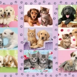 Schmidt Puzzle My Animal Friends 100 Pieces