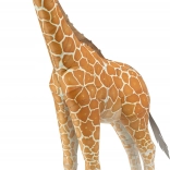 Metal 3D Puzzle Giraffe